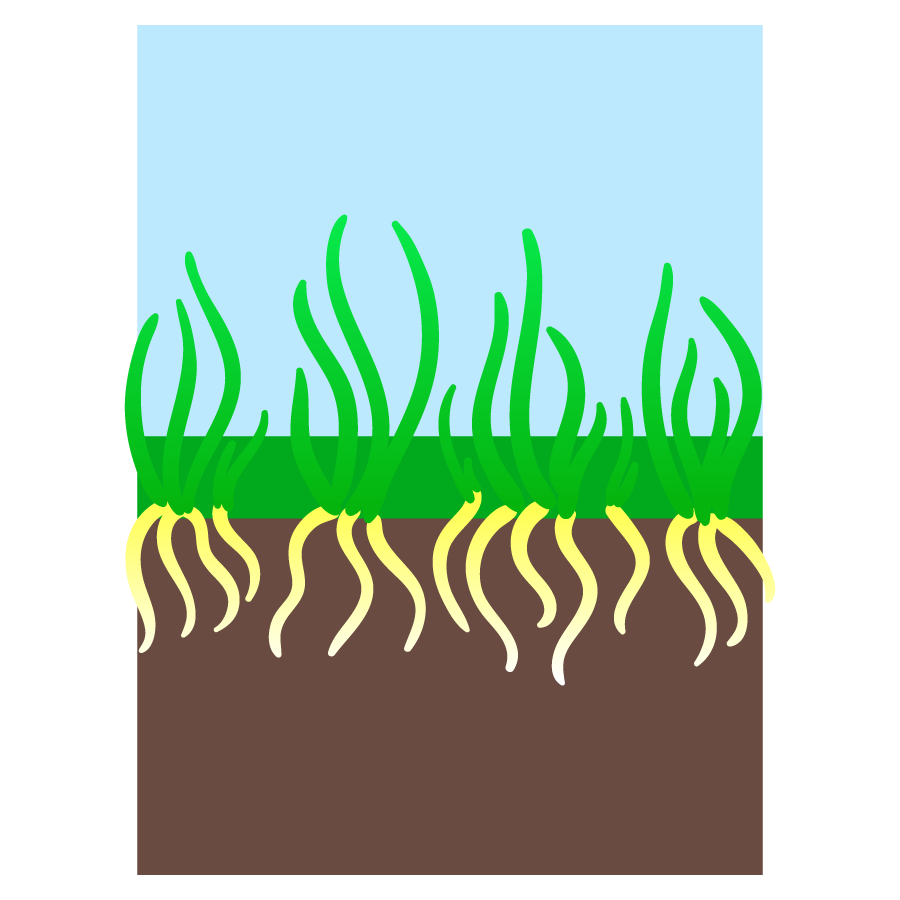 what is the aeration process?