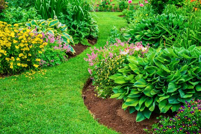 Deciding What Flowers Plant In Your NC Yard Turf Works Professional 